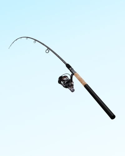 fishing rod